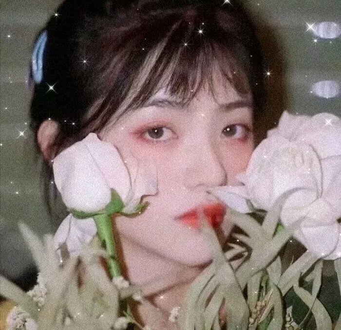 妖狐苏妲己